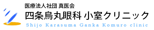 池田陽子の研究業績 御池眼科池田クリニック